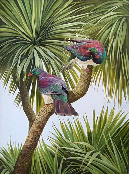 craig platt nz native bird artwork and oil paintings